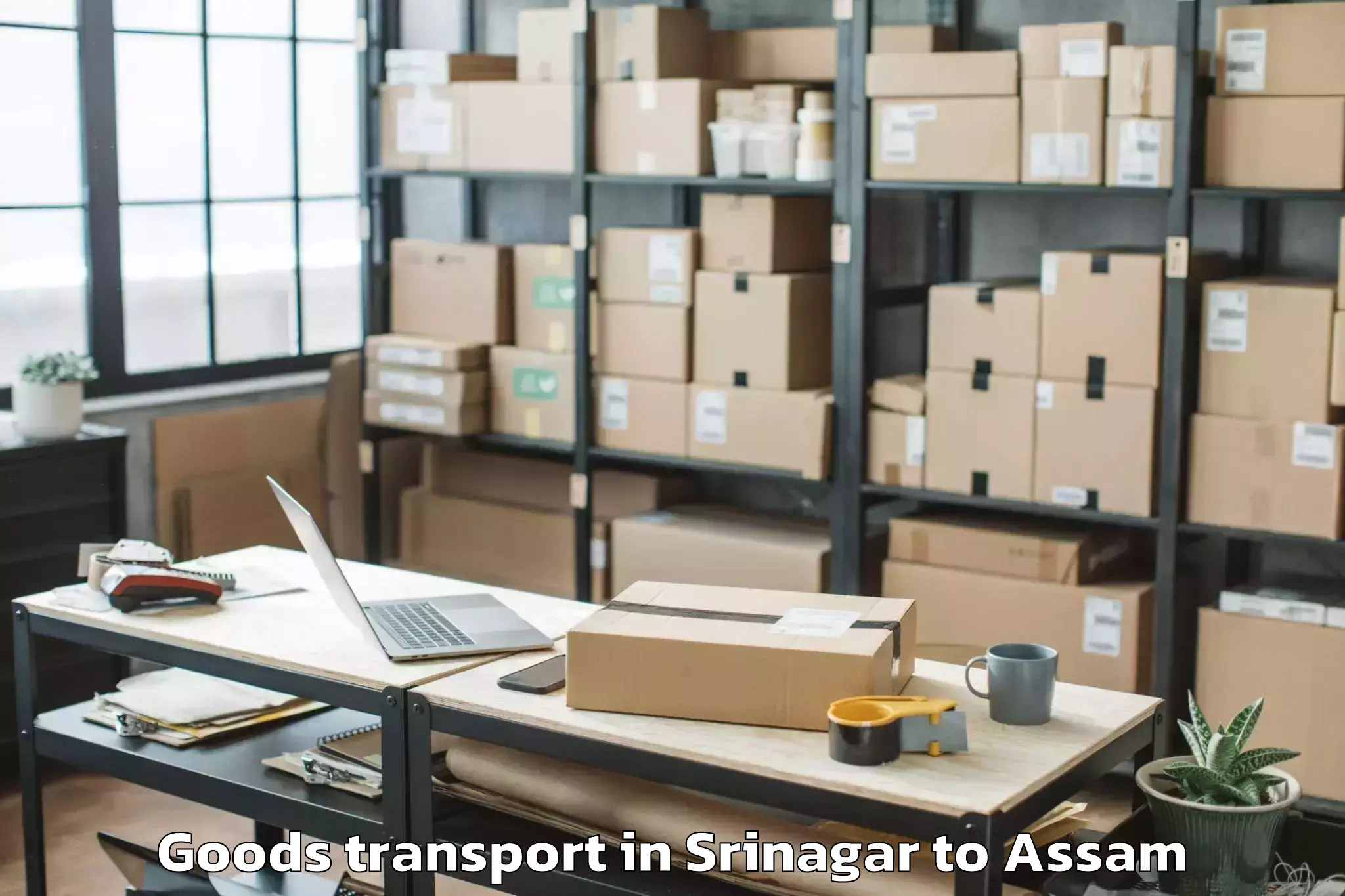 Leading Srinagar to Dalgaon Goods Transport Provider